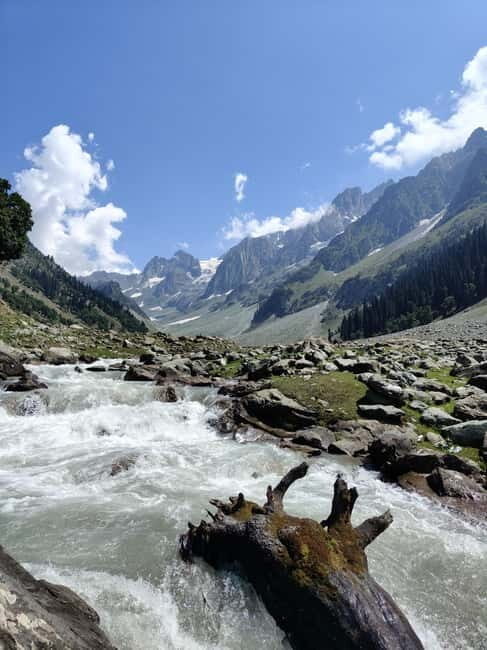 Srinagar: Sonamarg Day Tour - The Golden Meadow Adventure - Practical Tips and Considerations