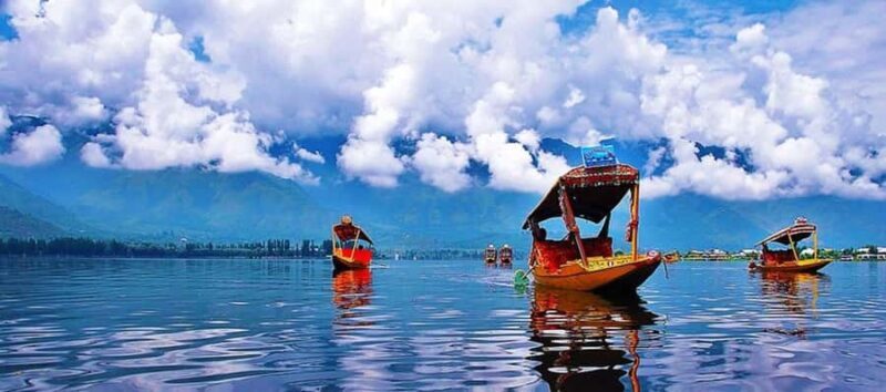 Srinagar: Tulip Garden With Shikra Ride on Dal Lake Tour - The Sum Up