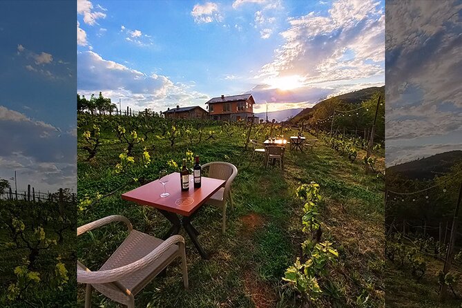 S&S Winery - Wine Tasting Experience in Ohrid - Pricing and Refund Policy