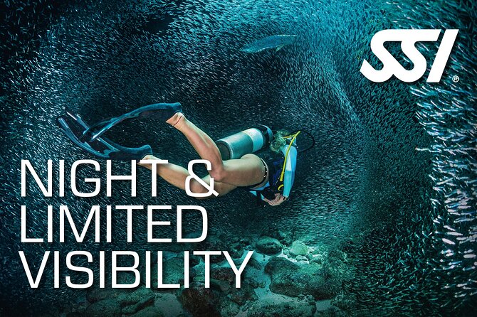 SSI Night Dive Specialty in Tenerife - What to Expect