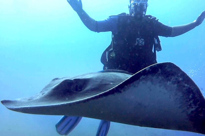 SSI Open Water Diver Course in Tenerife - What to Expect and Requirements