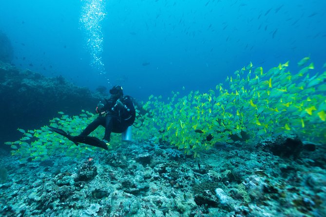 SSI Open Water Diver - Course Overview