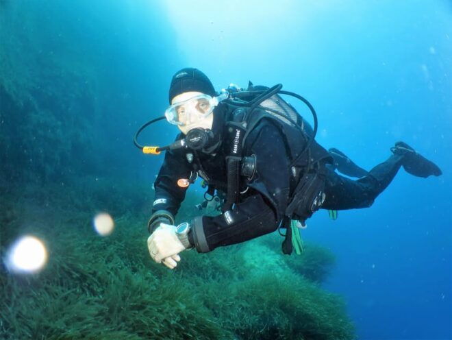 SSI Try Scuba Diving in the Sea - Participant Requirements