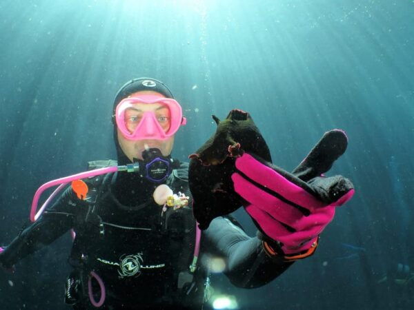SSI Try Scuba Diving in the Sea - Frequently Asked Questions