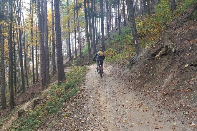 St. ANA LAKE Ebike Tour (Brasov) - Cancellation Policy
