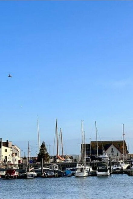 St Andrews, Falkland Palace, Fife Fishing Villages Tour - Customer Experience