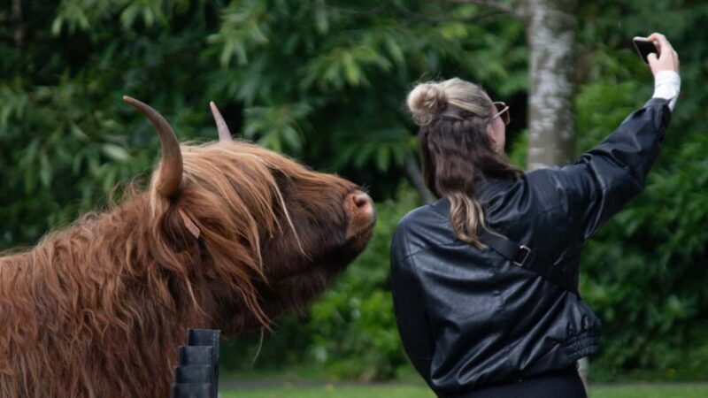 St Andrews Fishing Villages Fife Private Tour from Edinburgh - An In-Depth Review of the Fife Private Tour
