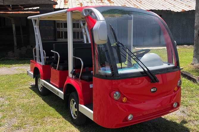 St. Augustine Chauffeured Brunch Tour With Alcoholic Drinks  - St Augustine - Overall Experience and Additional Information
