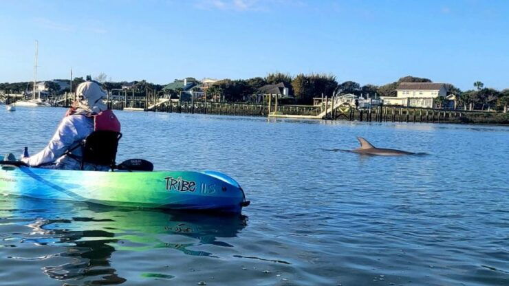 St. Augustine: Deluxe Dolphin-Watching Kayak Tour - Duration, Highlights, and Wildlife Experience