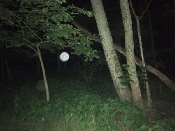 St. Augustine: Devils Hour Paranormal Investigation Tour - Customer Feedback