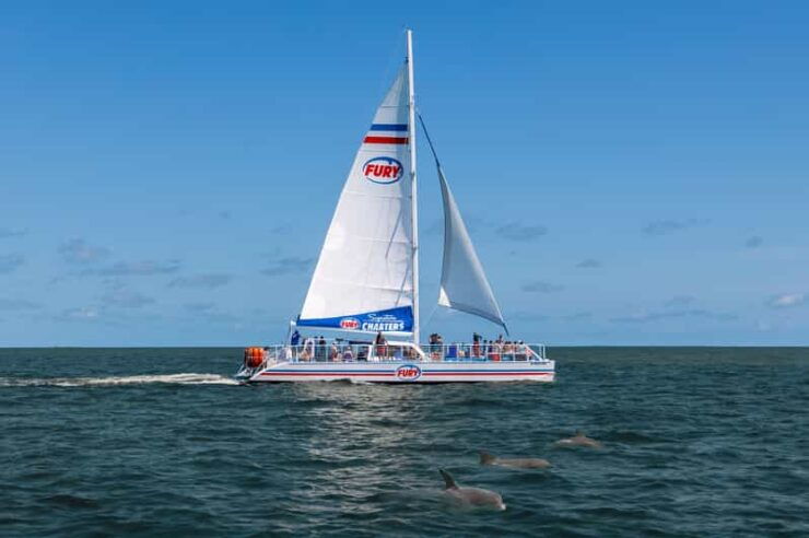 St.Augustine: Dolphin Watch & Historical Harbor Tour +Drinks - Activity Description