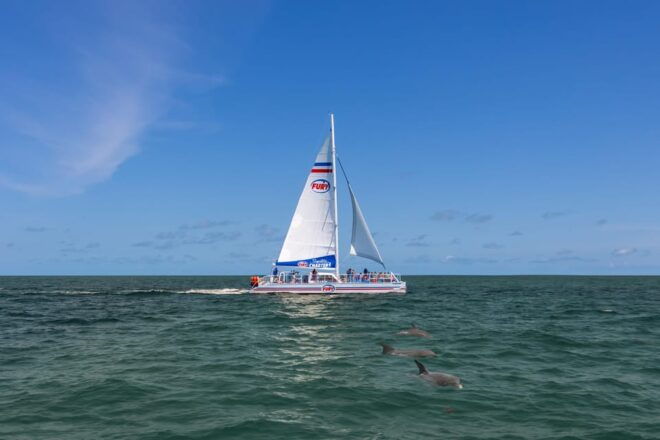 St.Augustine: Dolphin Watch & Historical Harbor Tour +Drinks - Vessel and Amenities
