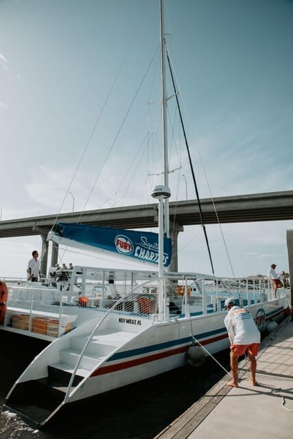 St. Augustine: Dolphin Watching Harbor Tour with Drinks - Final Thoughts: Is It Worth It?