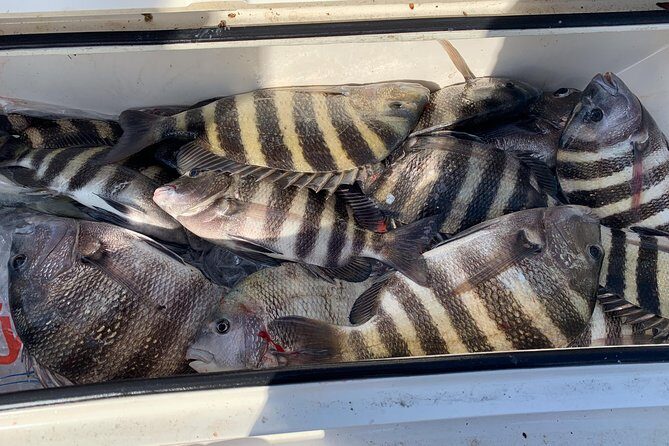 St. Augustine Fishing Charter-23' - Introduction