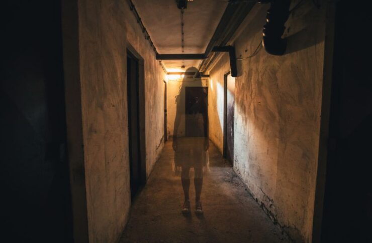St. Augustine, FL: Everdark Express Shadow Shuttle Tour - Activity Details