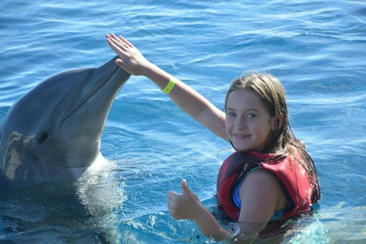 St. Augustine: Marineland Dolphin Encounter - Experience Details