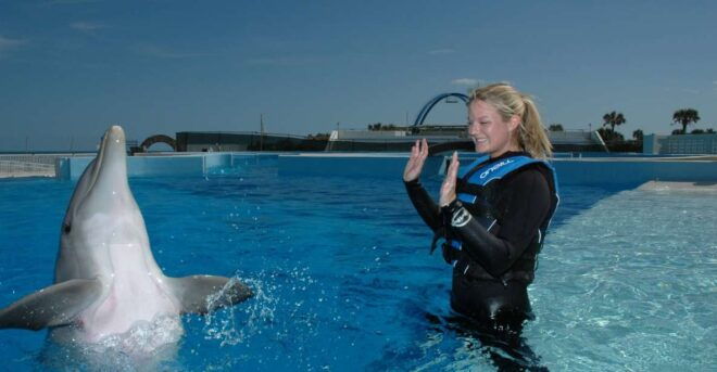 St. Augustine: Marineland Dolphin Encounter - Customer Reviews