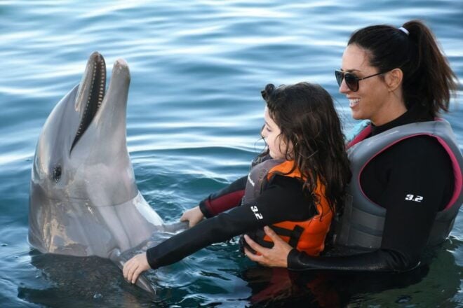 St. Augustine: Marineland Dolphin Encounter - Common Questions