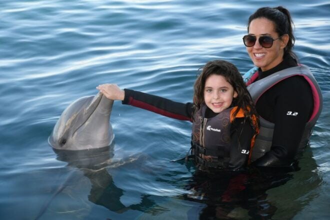St. Augustine: Marineland Dolphin Encounter - The Sum Up