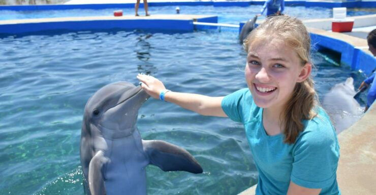 St. Augustine: Marineland Dolphin Meet & Greet - Ticket Details
