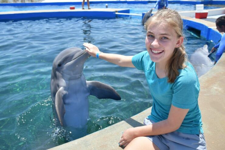 St. Augustine: Marineland Dolphin Meet & Greet - Experience Highlights