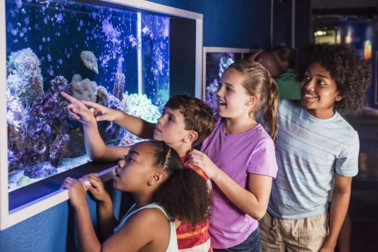 St. Augustine: Marineland Park Admission Ticket - Experience Highlights