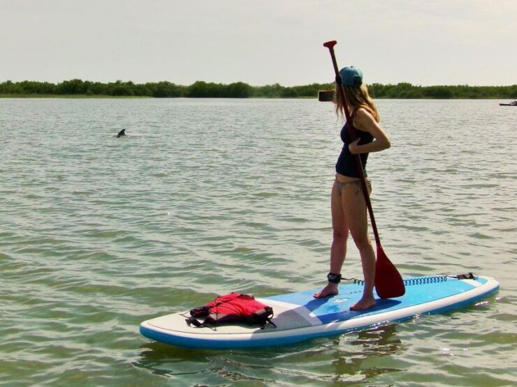 St. Augustine: Paddle Board Dolphin Adventure - Cancellation Policy Details