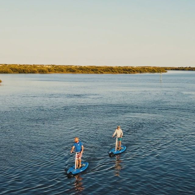 St. Augustine: Standup Pedal-boarding Dolphin Tour - Activity Details: Standup Pedal-boarding Dolphin Tour