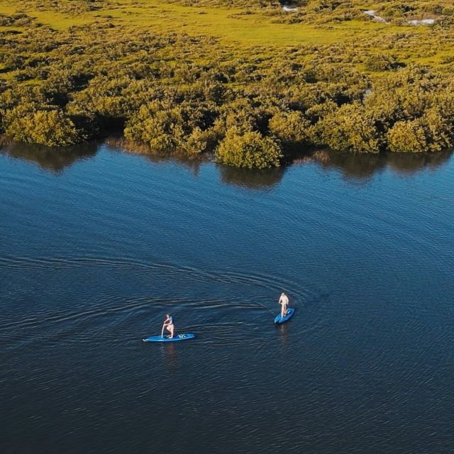 St. Augustine: Standup Pedal-boarding Dolphin Tour - Provider: Kayaking St. Augustine