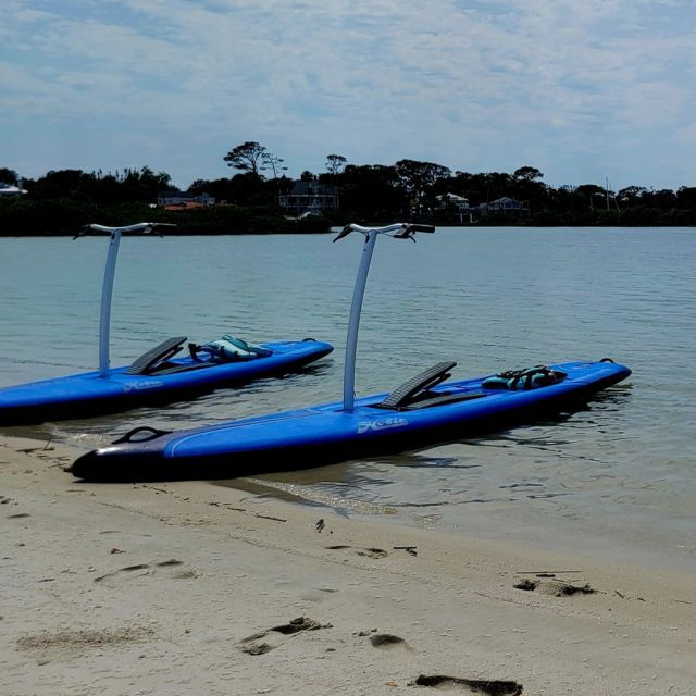 St. Augustine: Standup Pedal-boarding Dolphin Tour - Group Size: Limited to 6 Participants