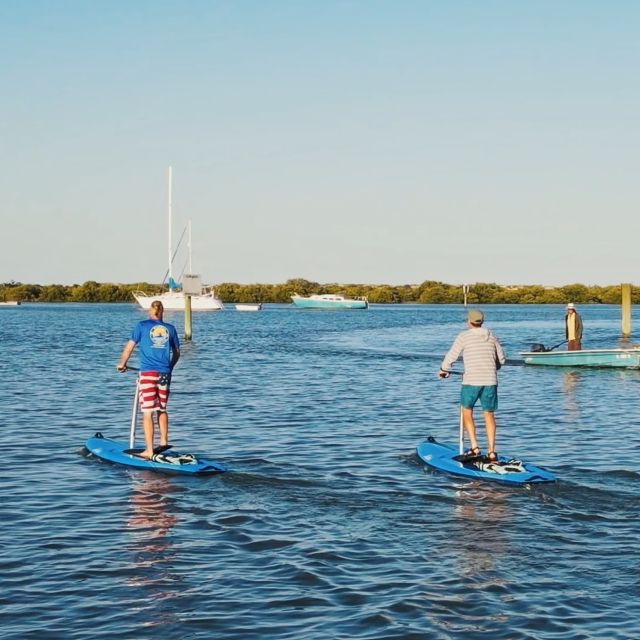 St. Augustine: Standup Pedal-boarding Dolphin Tour - Meeting Point and Important Information