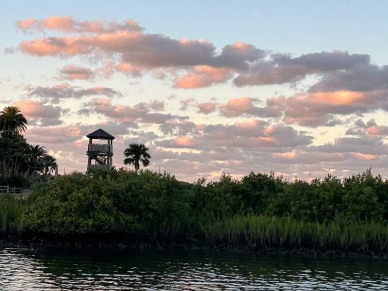St. Augustine: Sunset Boat Tour with Dolphin Spotting - Sunset and Nighttime Magic: The Nights of Lights & Seasonal Delights