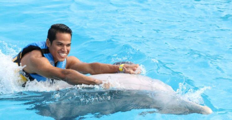 St. Augustine: Swimming With the Dolphins Entry Ticket - Ticket Information