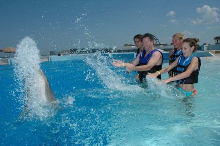 St. Augustine: Swimming With the Dolphins Entry Ticket - Experience Details