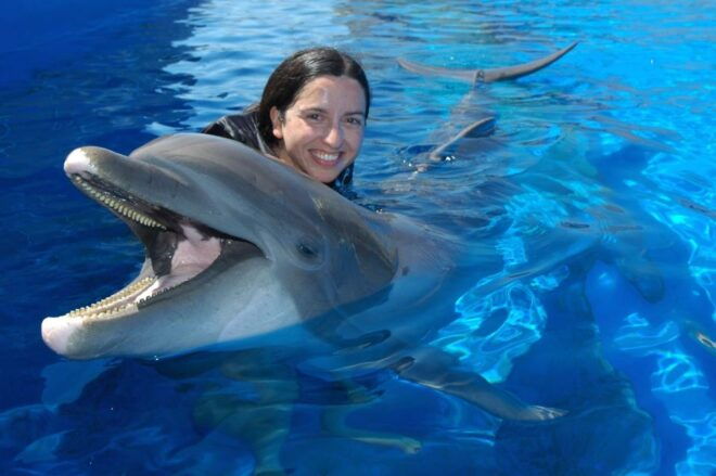 St. Augustine: Swimming With the Dolphins Entry Ticket - Participant and Date Selection