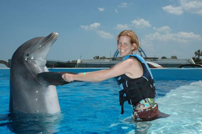 St. Augustine: Swimming With the Dolphins Entry Ticket - Cancellation Policy