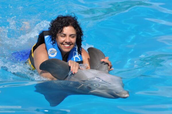 St. Augustine: Swimming With the Dolphins Entry Ticket - The Sum Up