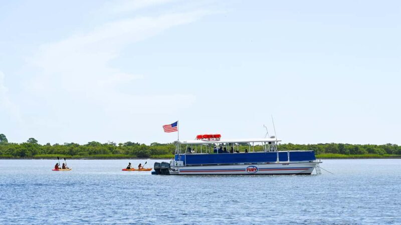 St. Augustine Wildlife Adventure: Boat Cruise & Kayak Tour - A Deep Dive into the Experience