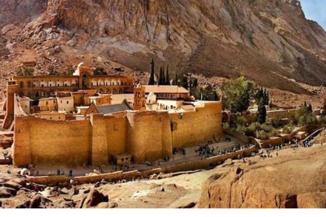 St. Catherine Monastery, Sinai & Lunch in Dahab Day Tour - Tour Operator Details