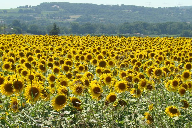 St Cirq Lapopie and Pech Merle Cavern Tour From Toulouse - Tour Overview