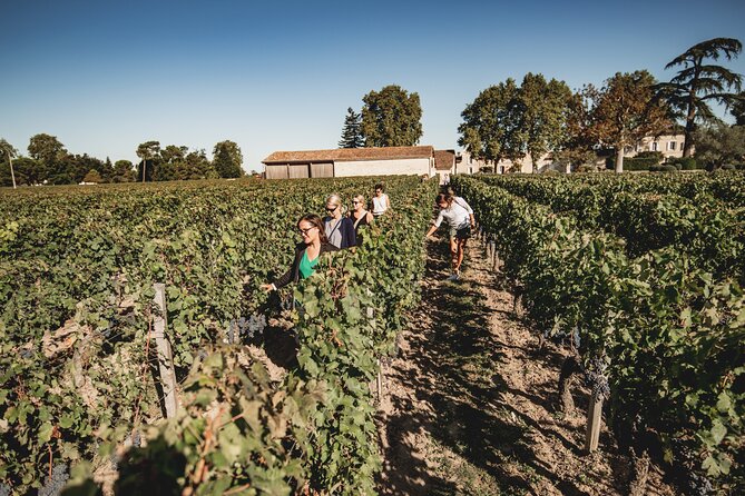 St-Emilion Half Day Morning Tour With Wine Tastings - Pricing and Booking Information