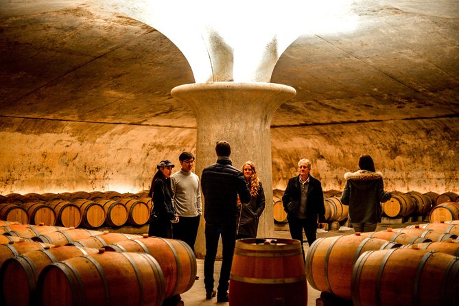 St-Emilion & Médoc Combine Day Tour Including Wine Tastings and Lunch - Tour Highlights
