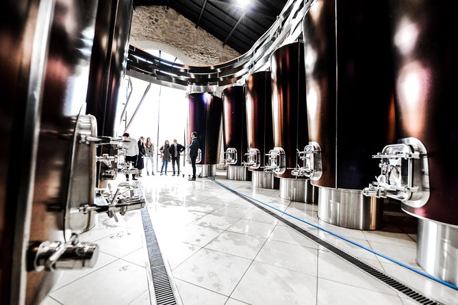 St-Emilion & Médoc Combine Day Tour Including Wine Tastings and Lunch - Wine Tasting Experience
