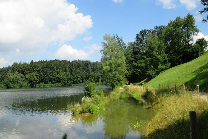 St. Gallen Private Walking Tour With Professional Guide - Booking and Reservation Process