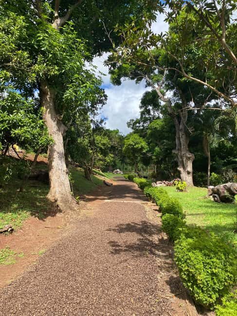 St. George's: Half-day spice and waterfall tour - Good To Know