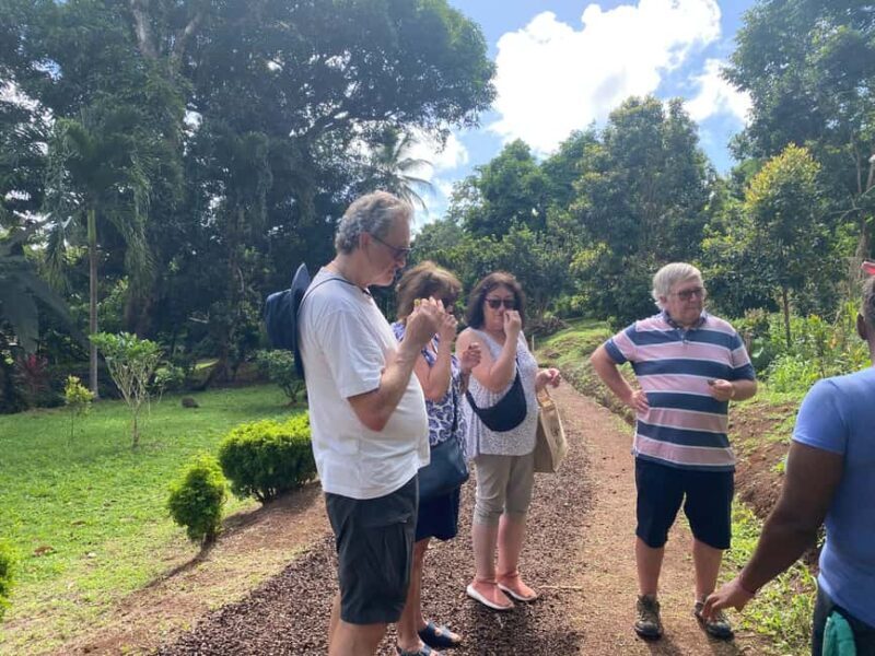 St. George's: Half-day spice and waterfall tour - A Closer Look at the Tour Experience