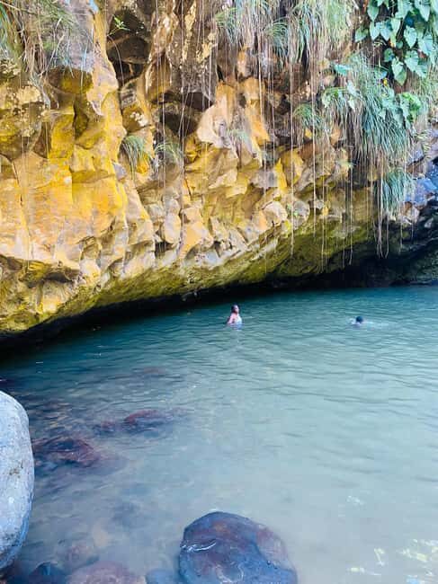 St. George's: Half-day spice and waterfall tour - Final Thoughts