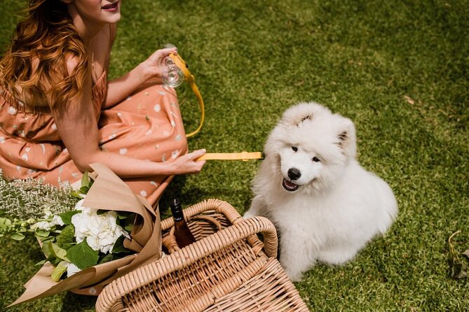 St Hallett 3 Hour Private Picnic Hamper Packs - Common Questions