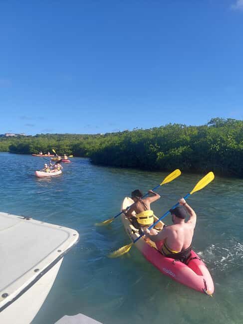St. John's, Antigua Kayak, Snorkeling, & Beach Bird Island - Practical Tips and Considerations