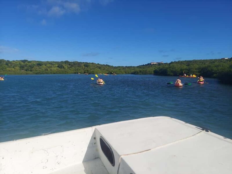 St. John's, Antigua Kayak, Snorkeling, & Beach Bird Island - Final Thoughts